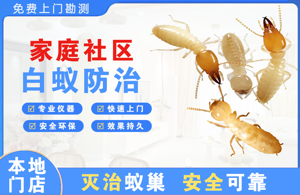 福鼎家庭社区白蚁防治