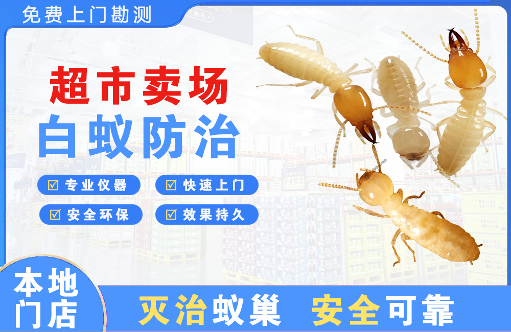 福鼎超市卖场白蚁防治