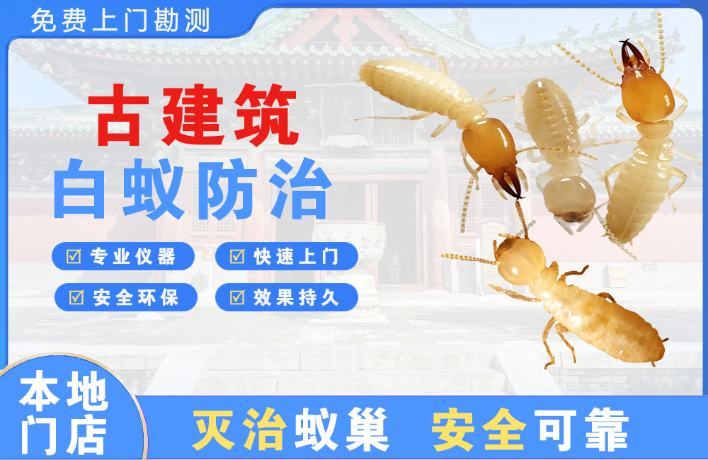 福鼎古建筑白蚁防治