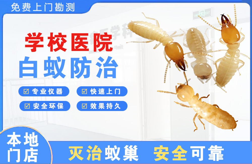 福鼎学校医院白蚁防治