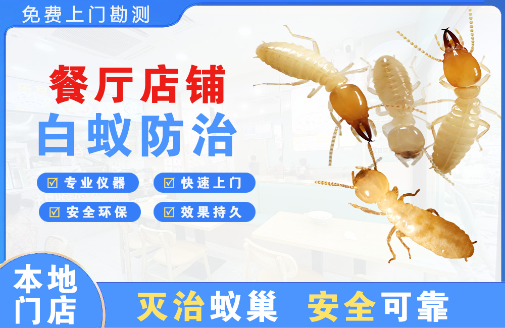 福鼎餐厅店铺白蚁防治
